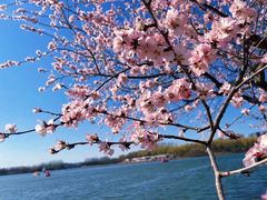 -大兴滨河森林公园