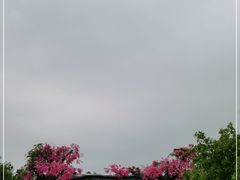 -天适樱花悠乐园