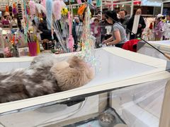 -北京华联购物中心(天通苑店)