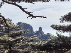 -黄山风景区