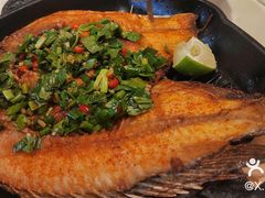 -云海肴·汽锅鸡·云南代表菜(天山百盛优客店)