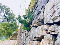 -鹿亭中村