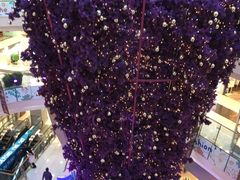 -凯德广场(学府店)