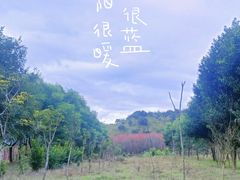 -福清灵石山国家森林公园
