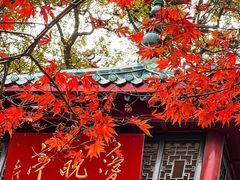 -岳麓山风景名胜区