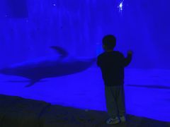 -华夏文旅海洋公园