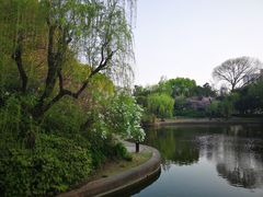 -上海市龙华烈士陵园