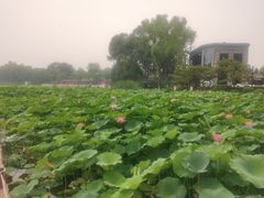 -郭守敬纪念馆