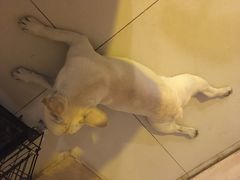 -平行世界·猫咖(首经贸店)