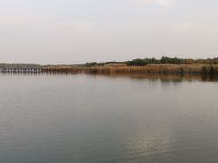 景点-西青郊野公园