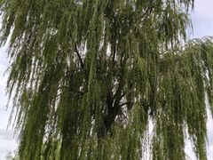 -云漫湖生态度假公园