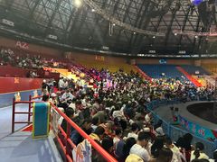 -俄罗斯国家大马戏团