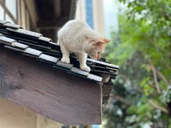 -山城巷传统风貌区