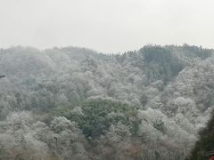 -燕子河大峡谷天坑仙境