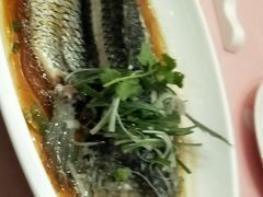 -同庆楼(华强吾悦广场店)