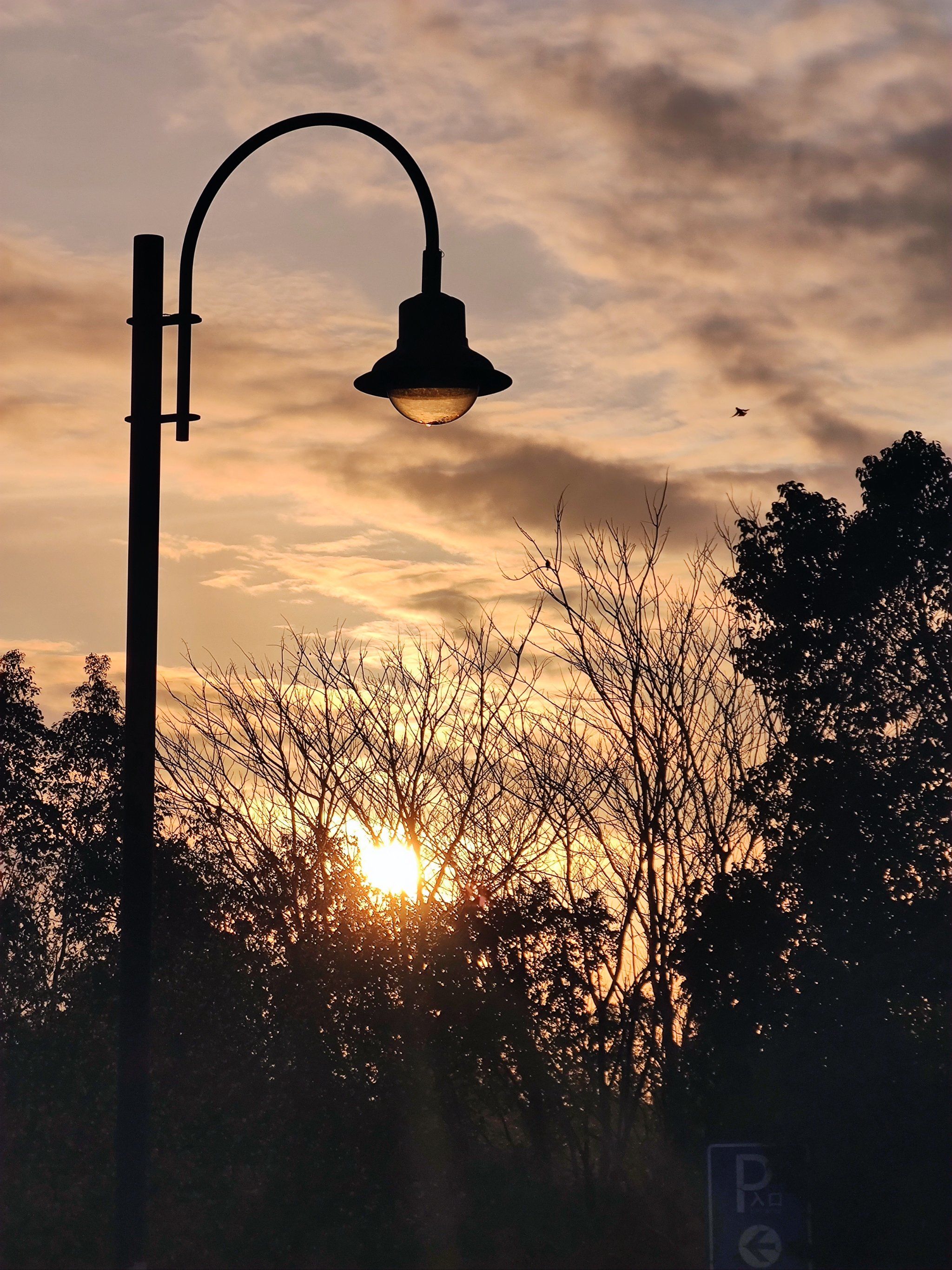 东湖的落日余晖