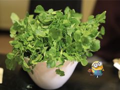 -丫丫汤膳打边炉(宏府408坊店)