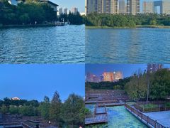 -五缘湾湿地公园