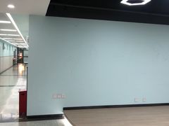 -上海市格致初级中学