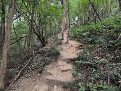 -紫金山山顶公园