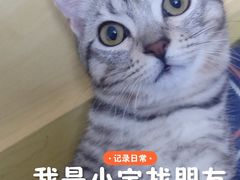 -万达广场(东莞东城店)