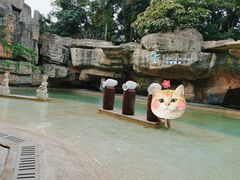 -海口观澜湖火山温泉谷