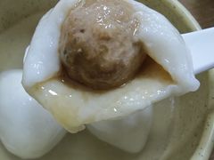 鲜肉汤圆-祥记汤圆(东宝兴路店)