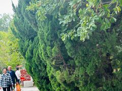 -石家庄市植物园