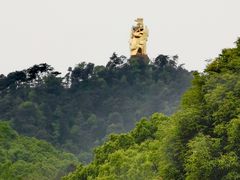 -南山植物园