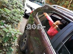 -东莞市大岭山森林公园