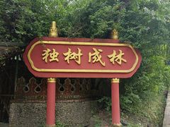 -瑞丽独树成林风景区