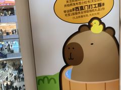 -凯德MALL(西直门店)