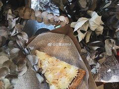 椰香奶油派-Pie Bird(新闸路店)