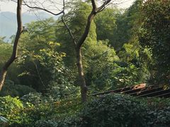-天目湖涵田半山温泉