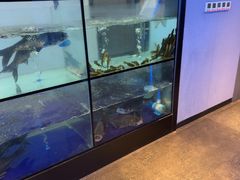 -蜀九香火锅(江油店)