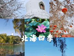 -北海公园