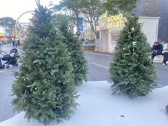 -东莞松山湖万象汇