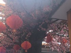 -鸥迪足道(安庆店)