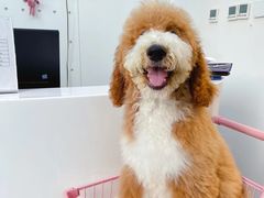 -萌兽医馆·眼科·异宠专科(三里屯店)