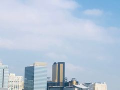 -嘉乐庇总督大桥