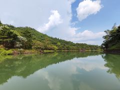 -广州白江湖森林公园