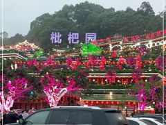 -枇杷园食为鲜火锅(南山店)