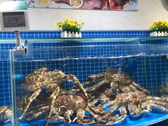 水产区-七鲜超市(通州ONE店)
