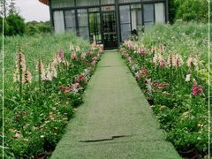 -洪湖家庭农场·团建·露营·会议