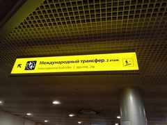 -谢列梅捷沃国际机场