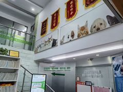 -爱侣宠医·鹦鹉专科·小型哺乳类·异宠专科(灵石路店)