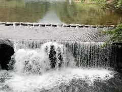 -广州市石门国家森林公园