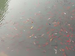 -黄花溪