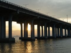 -宝安西湾红树林湿地公园