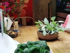 -尚海豆捞(乐虹坊店)